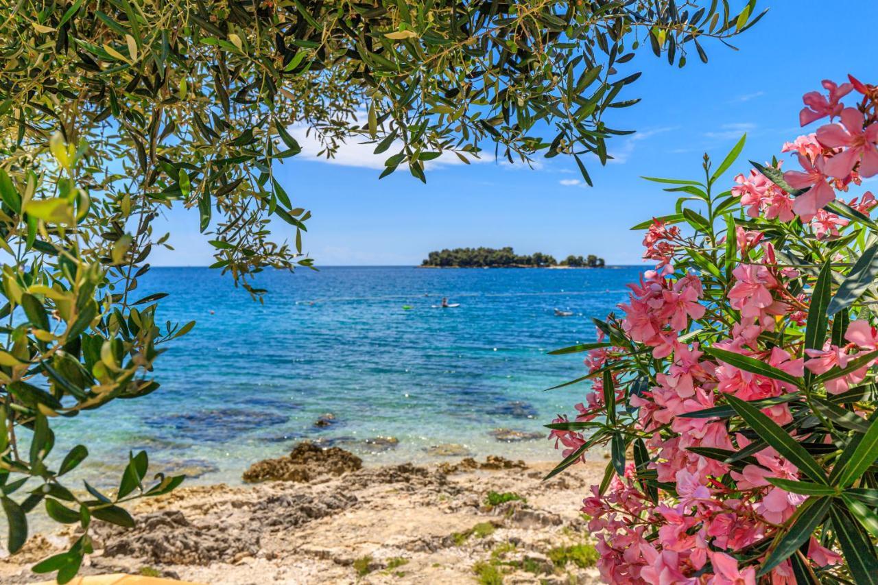 Al Mare Apartments Rovinj Bagian luar foto