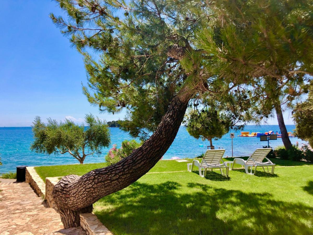 Al Mare Apartments Rovinj Bagian luar foto